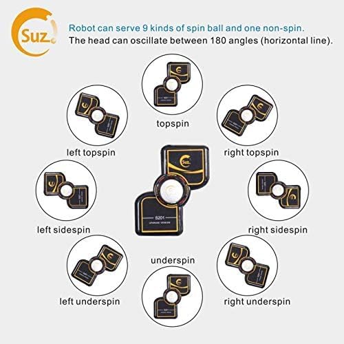 Suz Table Tennis Robot with Net